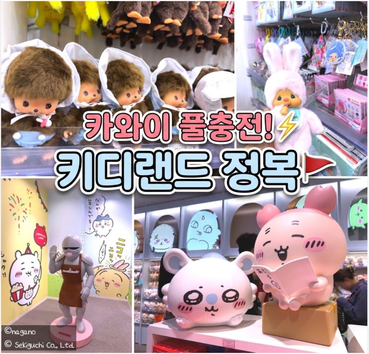  하라주쿠에서 '카와이' 풀 충전, 키디랜드 본점 & 오모카도 산리오 먼작귀 정복기