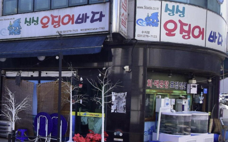 싱싱오징어바다 수지점 사진 1