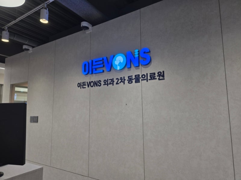 창원 이든본스 외과 2차 동물의료원 :: 강아지 십자인대 파열 수술 후기