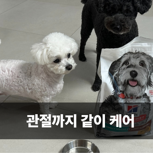  강아지사료 힐스 퍼펙트웨이트 체중관리 사료 급여 후기