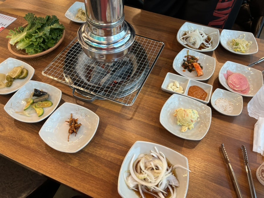 금오갈매기 사진 5