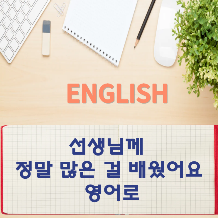  오늘의 영어회화 스터디 선생님께 정말 많은 걸 배웠어요 영어로
