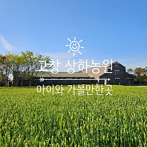고창 상하농원 입장권 카페 아이와 가볼만한곳