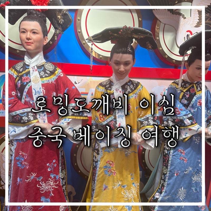 중국 베이징 5일 여행, 로밍도깨비 eSIM 이심 솔직 후기 (로밍·유심·포켓와이파이 비교)