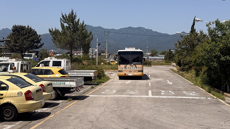 천일자동차운전전문학원 사진 2