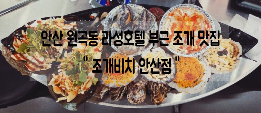조개비치 안산점 사진 1
