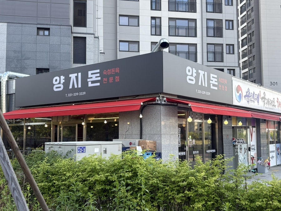 양지돈 사진 1