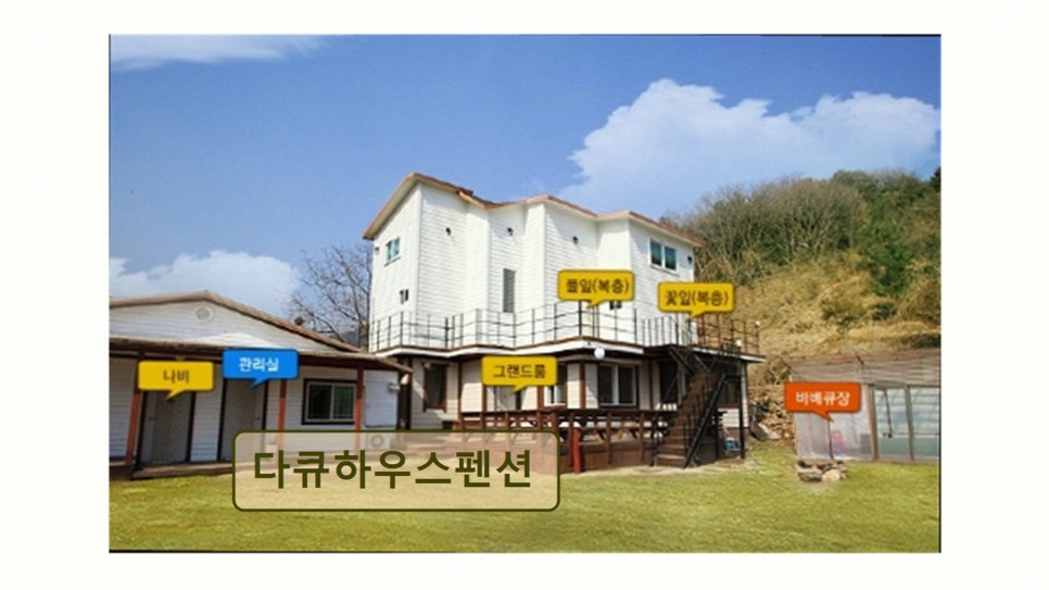 다큐하우스펜션 사진 6