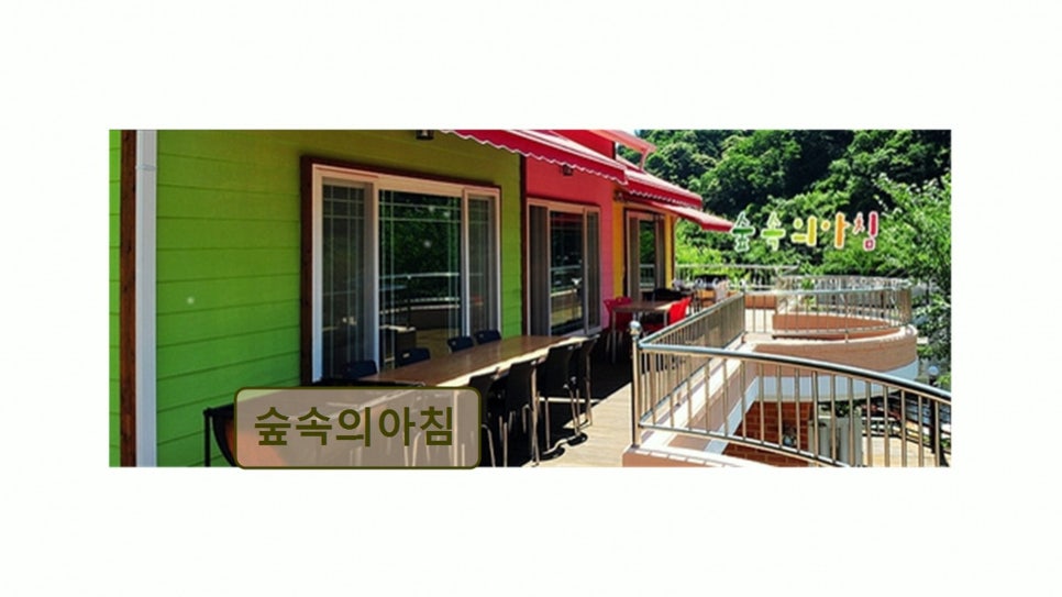 숲속의아침 사진 3
