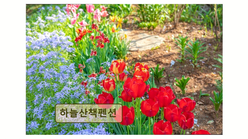 하늘산책펜션 사진 3
