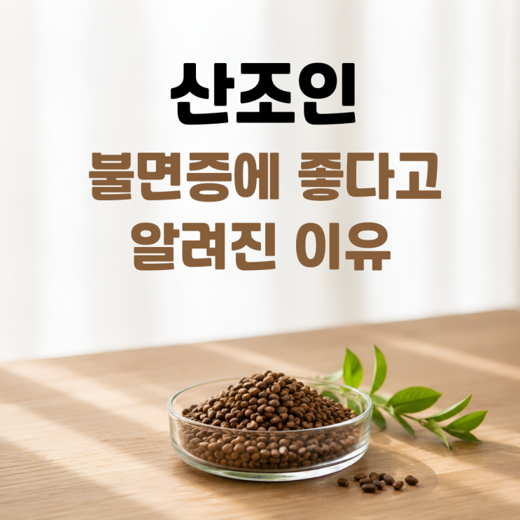  산조인 효능 부작용 섭취방법 총정리｜불면·신경안정에 좋은 이유