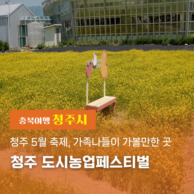 이미지 미리보기