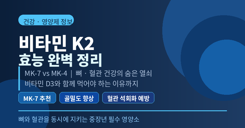 비타민 K2 효능 총정리ㅣMK-7 추천 이유부터 복용법까지