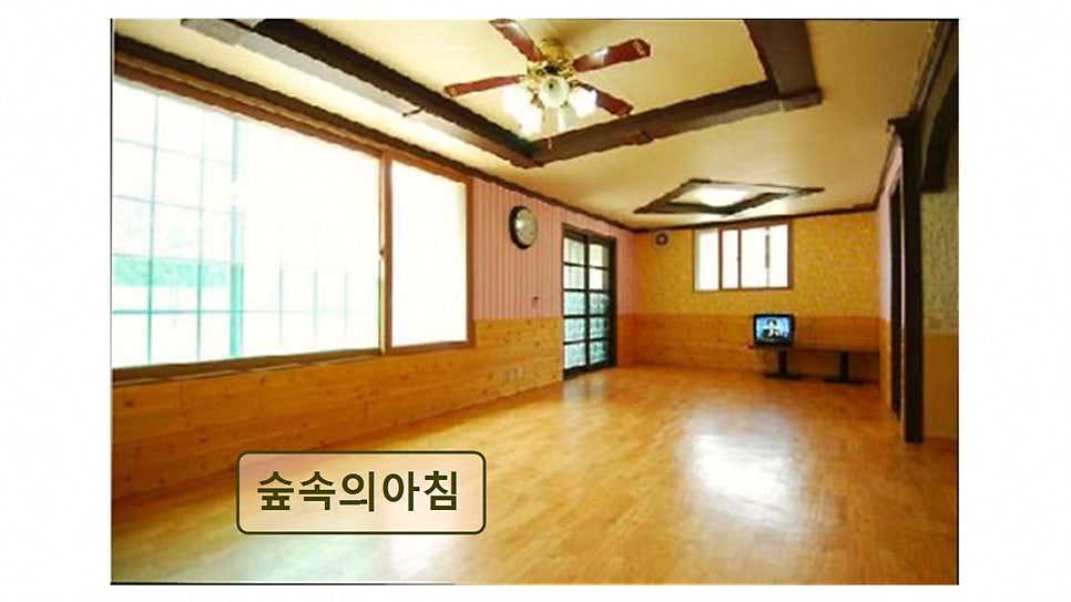 숲속의아침 사진 4