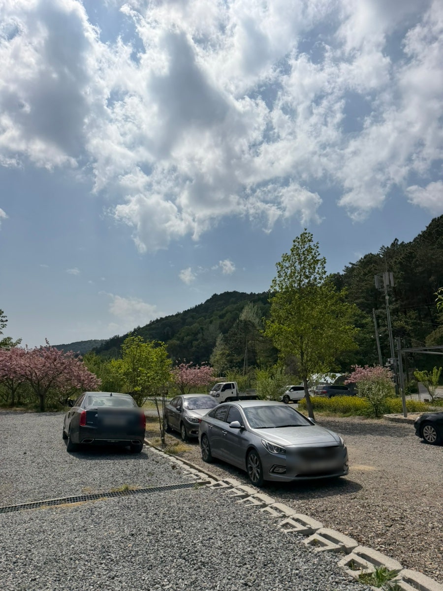 자연애스토리 캠핑장 사진 2