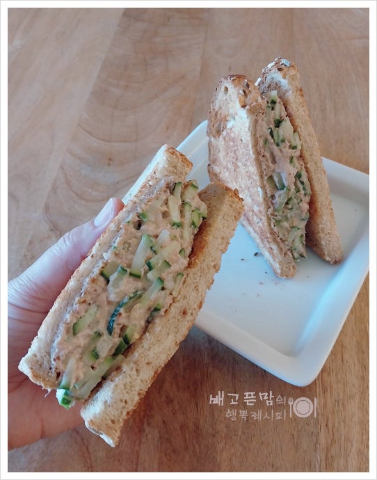 그릭요거트 참치 오이 샐러드 샌드위치 만들기 다이어트 요리 레시피
