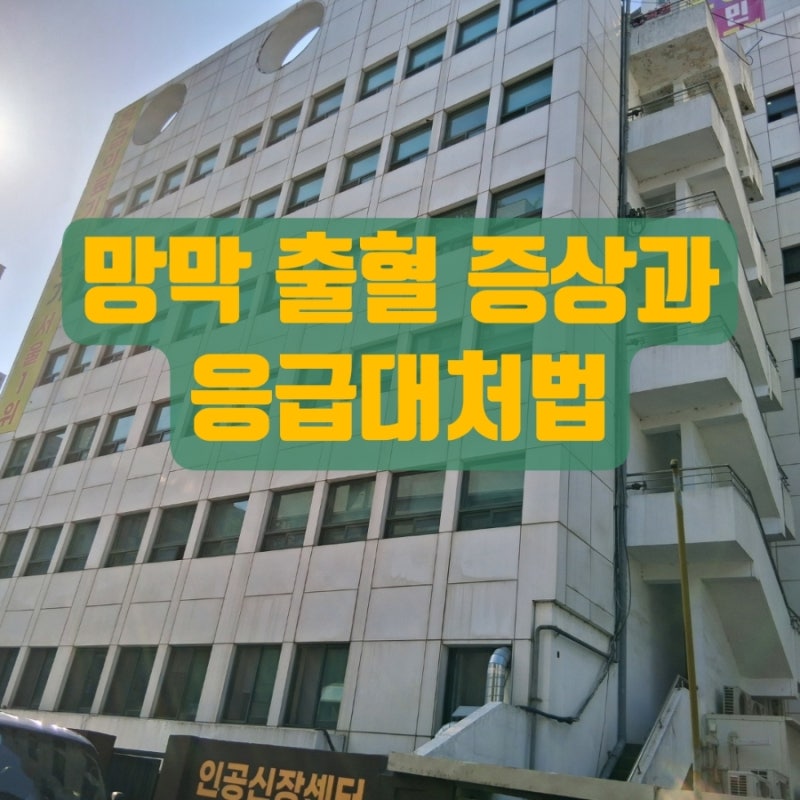 망막 출혈 증상과 응급대처법 망막 수술 후기