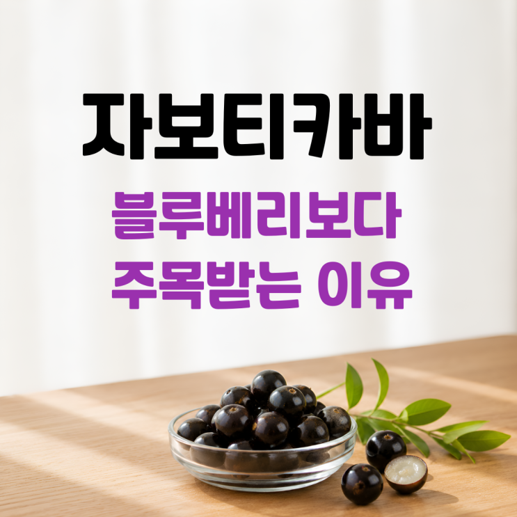  자보티카바 효능 부작용 섭취방법 총정리 | 브라질 슈퍼푸드의 놀라운 항산화 효과