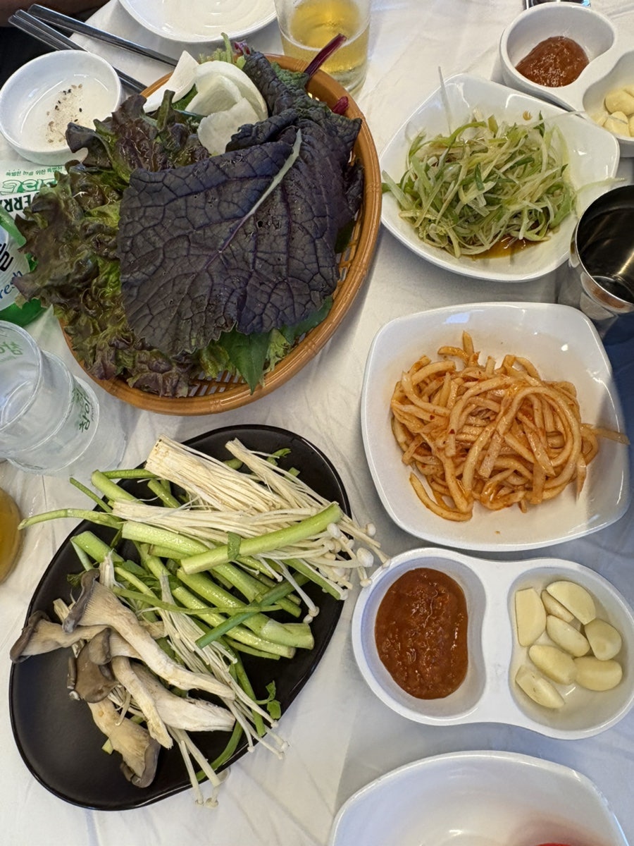 양지돈 사진 6