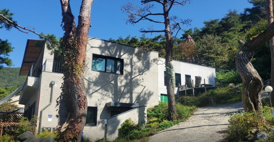 갤러리하우스펜션 사진 3