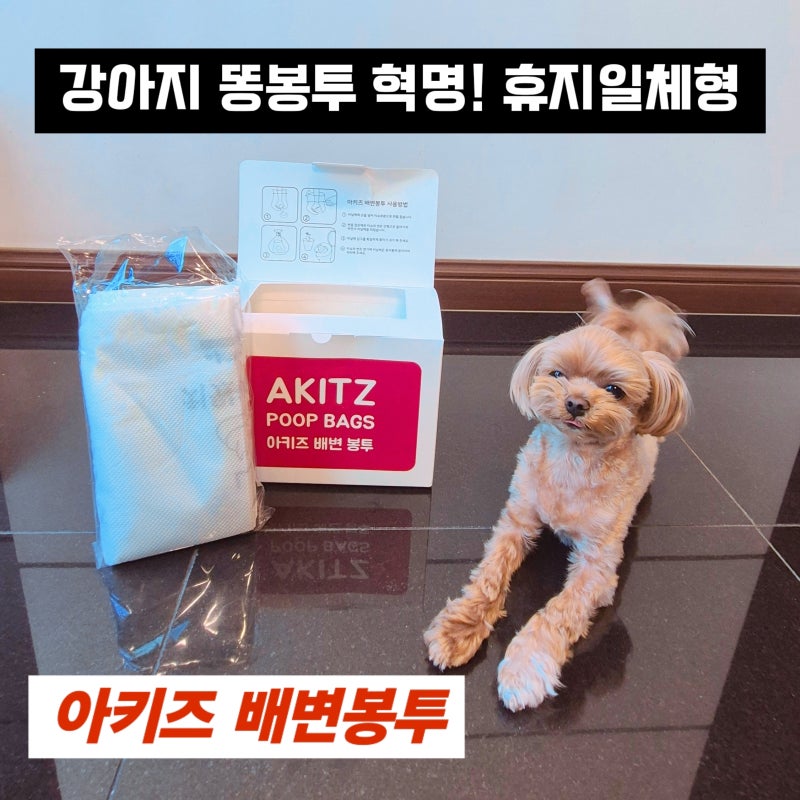 강아지 산책 아직도 휴지 따로 챙기세요? 강아지똥봉투와 휴지가 하나로! 아키즈 배변봉투 ....