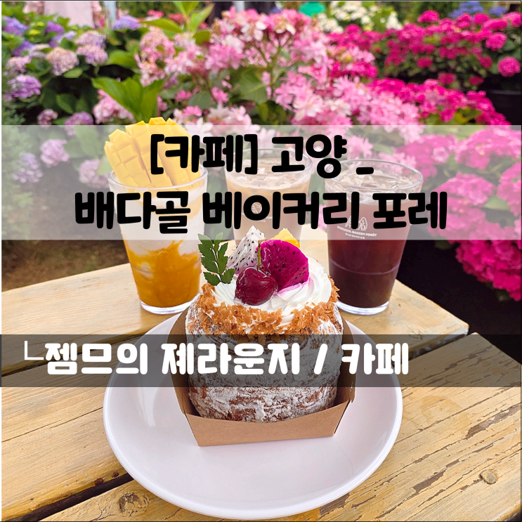 고양 카페, 배다골 베이커리 포레 | 식물원과 야외 정원이 있는 애견동반 베이커리 카페