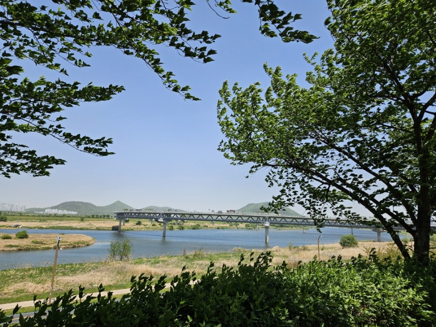 블로피 사진 5