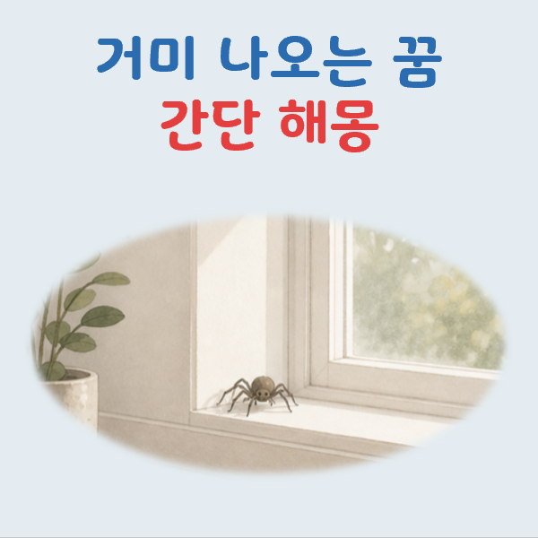거미 꿈 해몽, 상황별 의미와 풀이