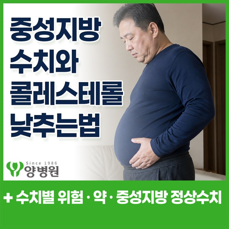  중성지방 수치 – 300 이상이면 위험할까? 콜레스테롤 차이와 낮추는법 | 길동 건강검진센터