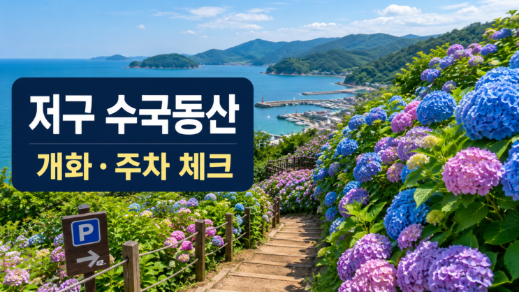  거제 저구 수국동산 개화시기 주차 동선