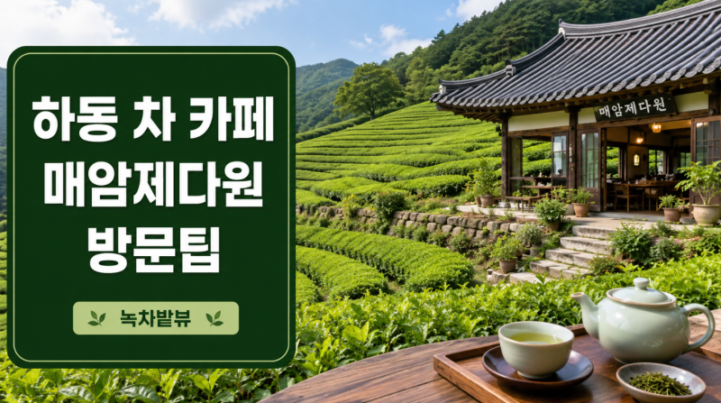 하동 차 카페 매암제다원 녹차밭 방문팁 : 네이버 블로그