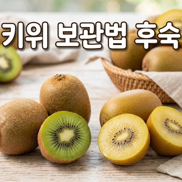 키위 보관법 골드키위 레드키위 후숙 후숙법