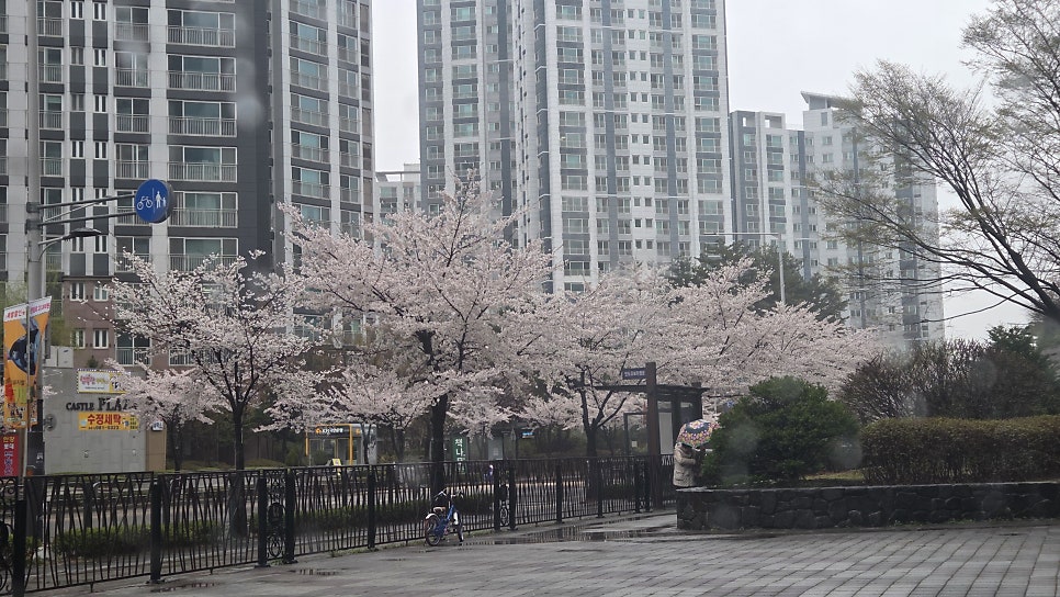 송도우리갈비 김포점 사진 3