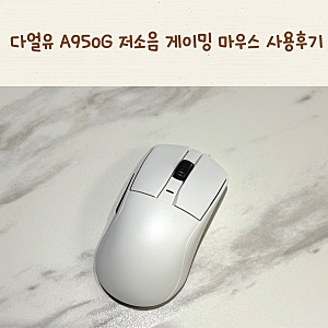 다얼유 A950G 1K 저소음 게이밍 마우스 사용후기!
