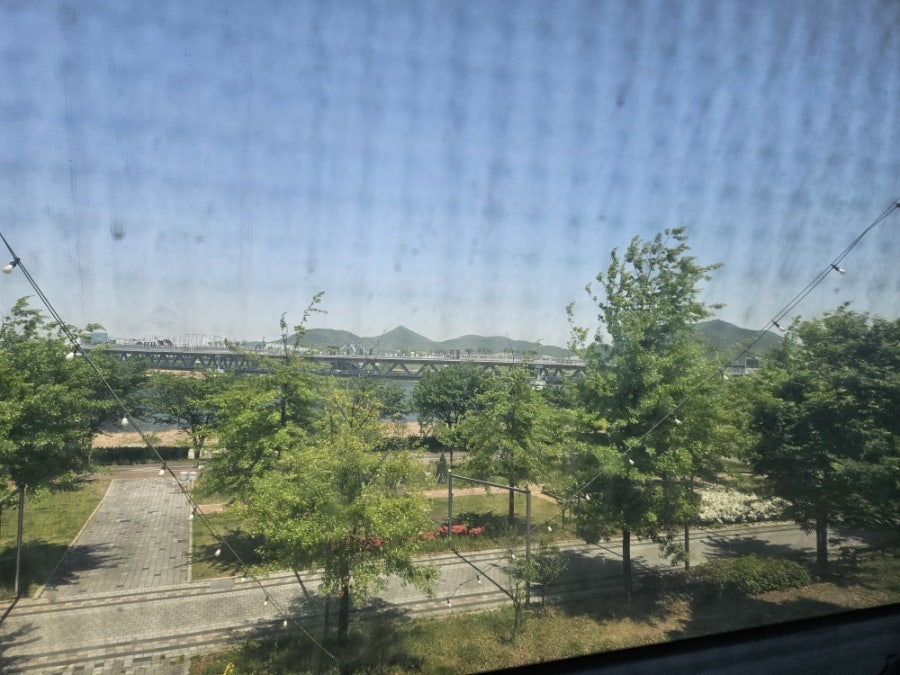 블로피 사진 2