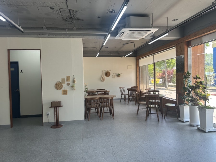 노엘 사진 5