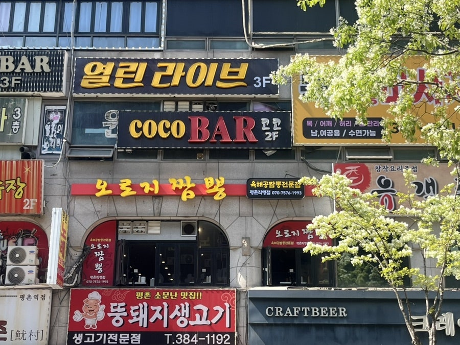오로지짬뽕 평촌직영점 사진 1