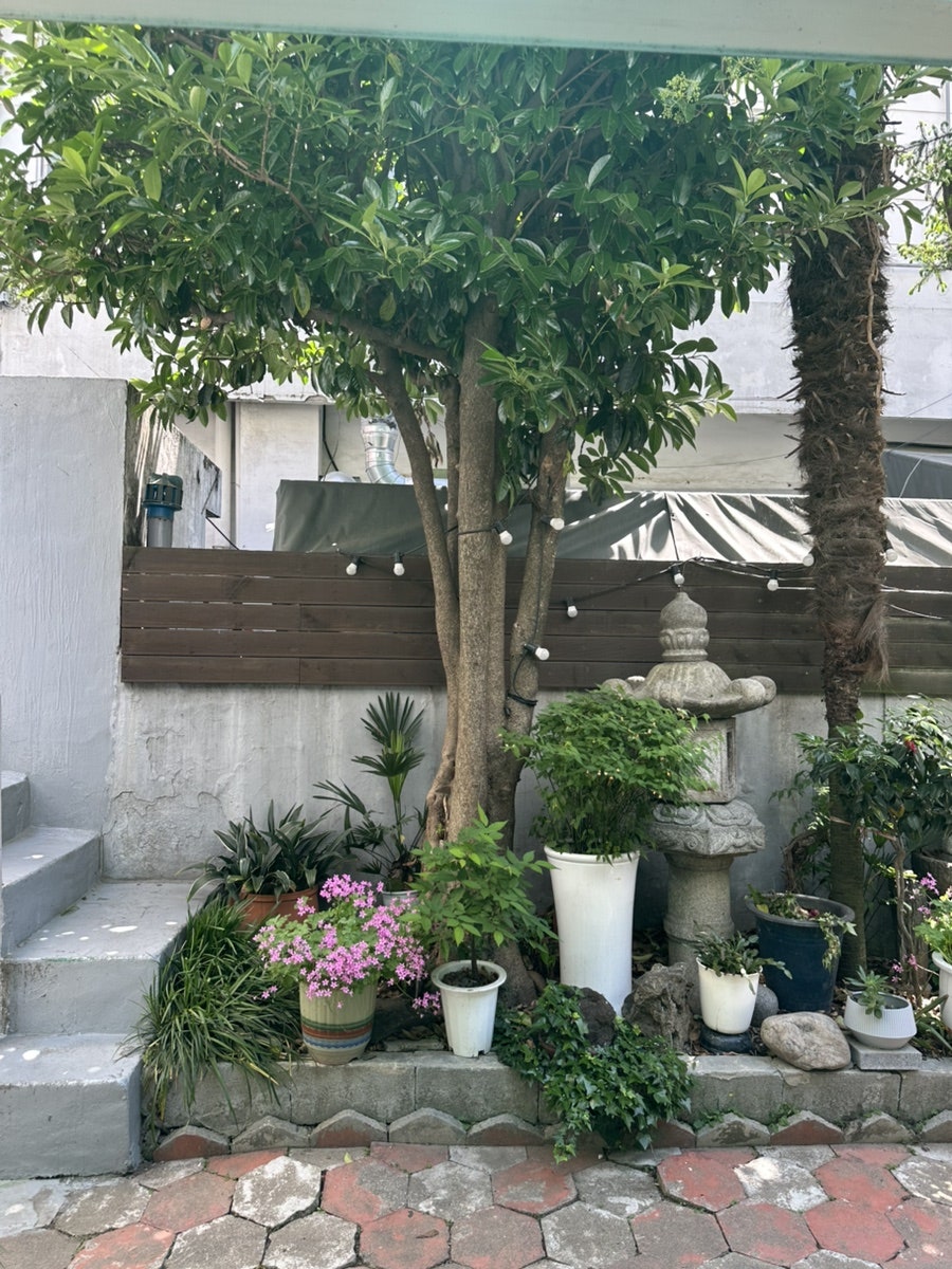 평원집 사진 4