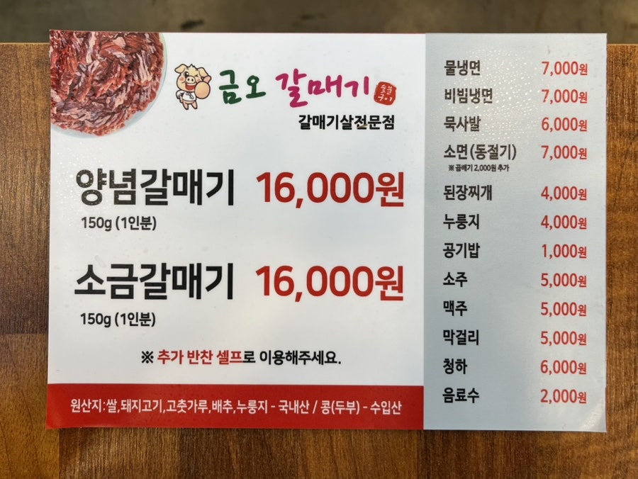 금오갈매기 사진 4