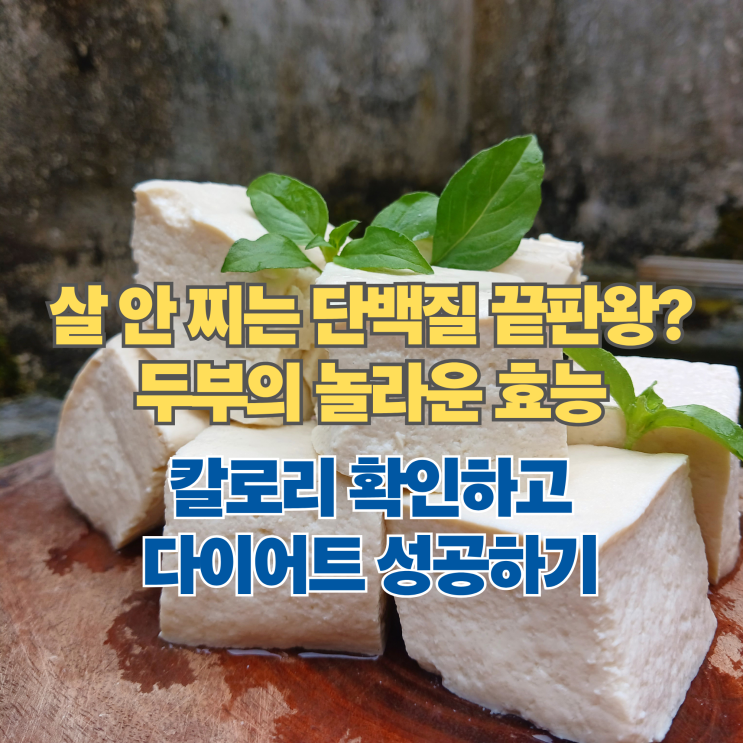  "살 안 찌는 단백질의 정석" 두부 효능과 칼로리, 다이어트 식단 추천 이유