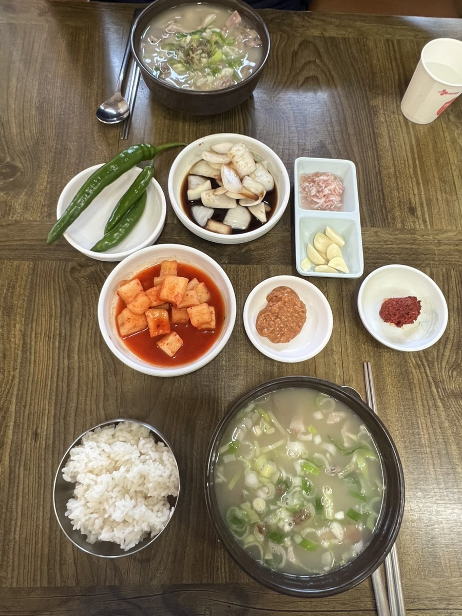 원조야로국밥 사진 6