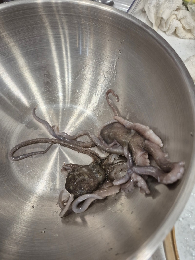 목포세발낙지 효능 먹는법