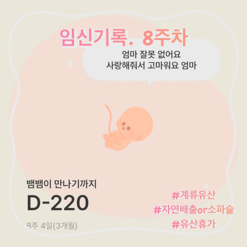 임신 8주 차 계류유산 진단 후 자연 배출과 소파술 그리고 유산 휴가