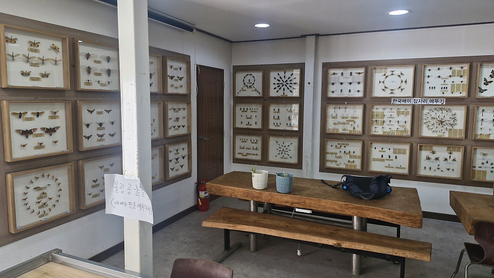 Suanbogonchungbakmulgwan photo 2