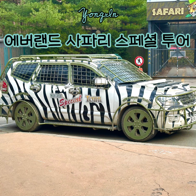 에버랜드 사파리 스페셜투어 예약 방법 예약오픈 가격 시간 인원 아기 탑승위치 자리 꿀팁 ....