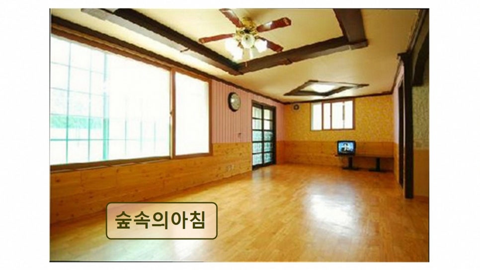 숲속의아침 사진 1