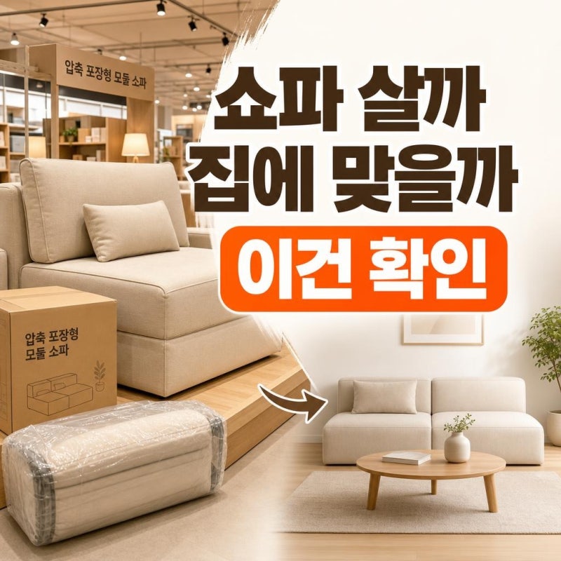 트레이더스 압축쇼파 살까 말까? 매장에서 꼭 봐야 할 가격·공간·사용감 체크포인트