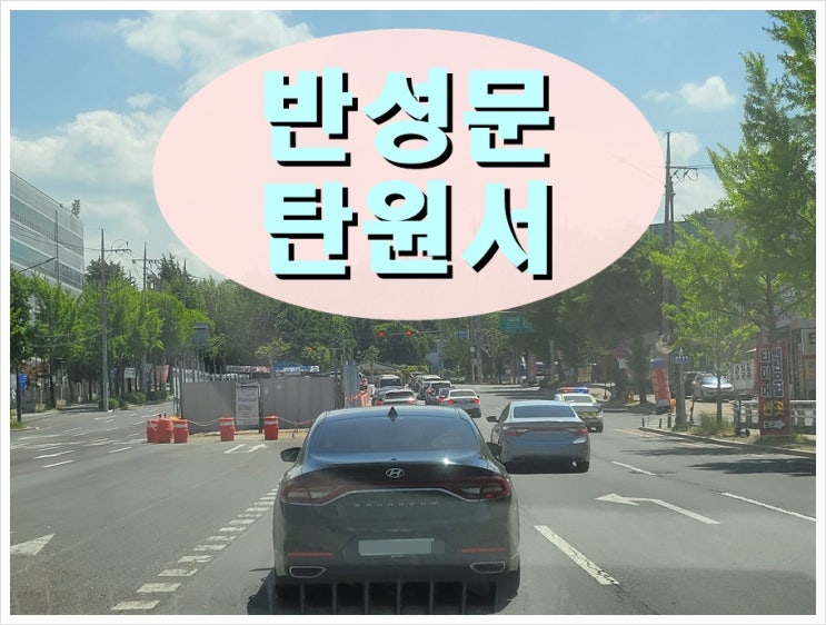  제주 반성문 탄원서 음주운전 사건 (전문 행정사)