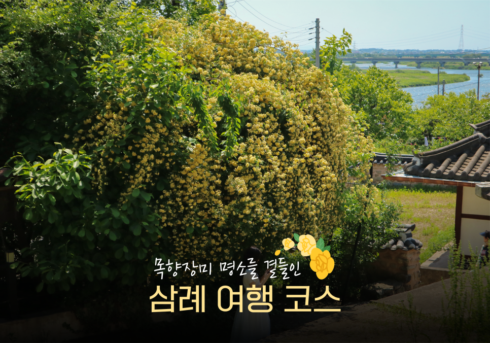 비비정청춘 사진 1