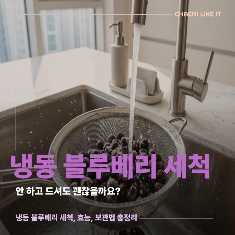 냉동 블루베리 세척 꼭 씻어야 할까요? 씻어서 먹는 이유와 세척 보관법 정리